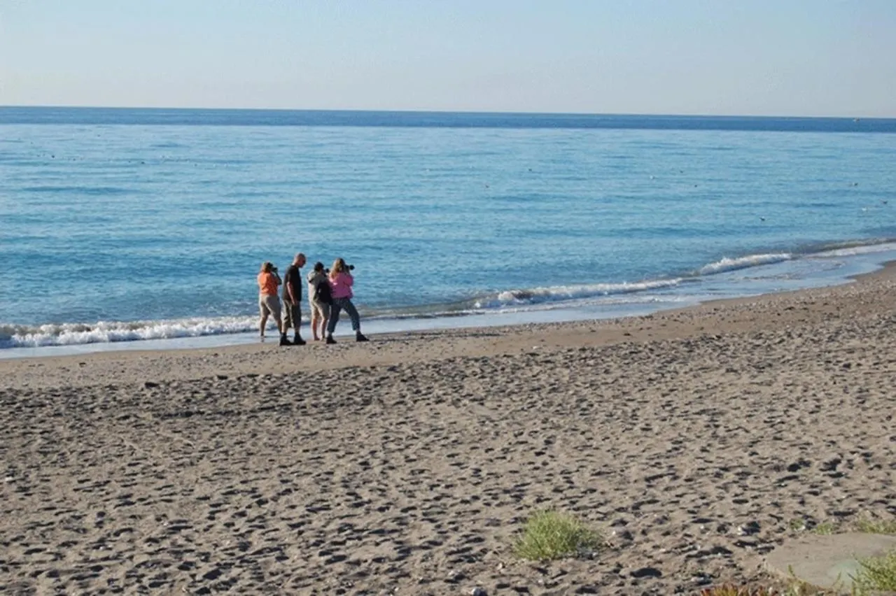 Angustias Villa Torrox
